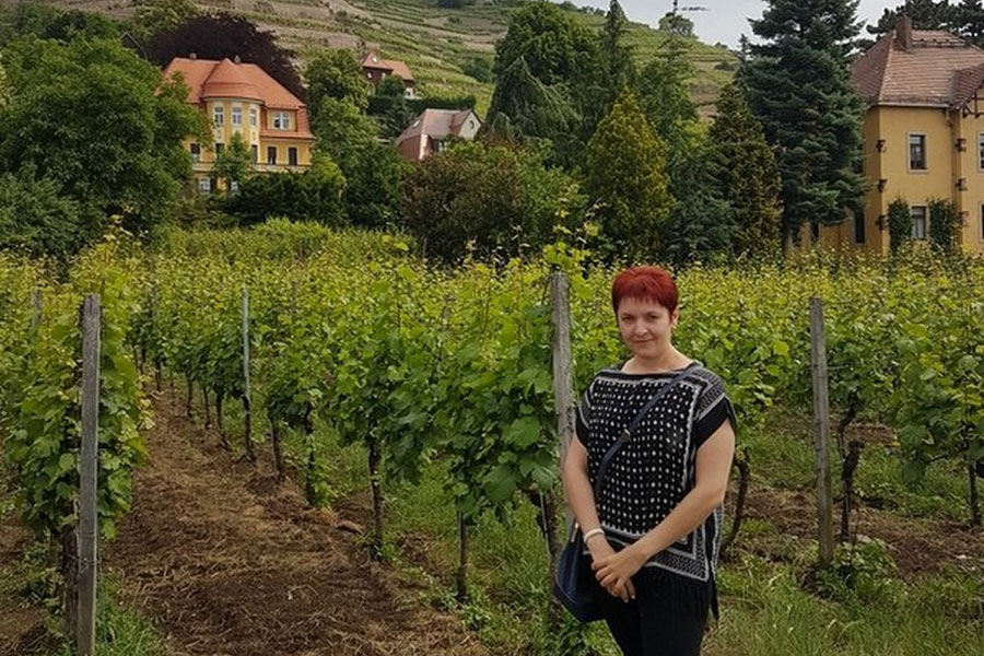 Radebeul, Weingut Hoflößnitz 16.06.2017