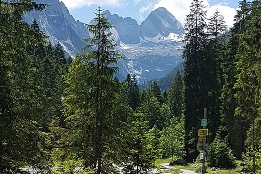 Aufstieg zur Bockhütte 15.06.2018